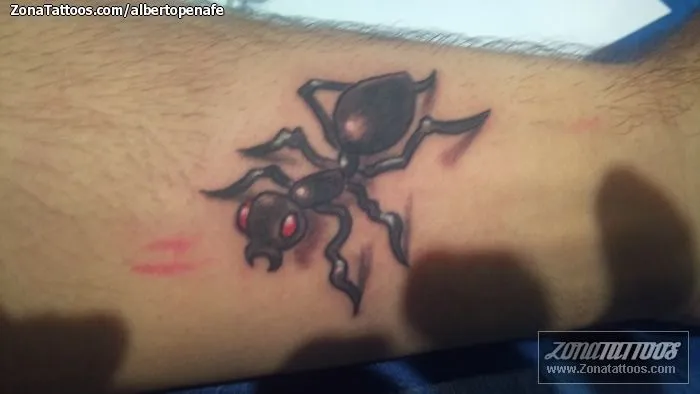 Tatuajes de hormigas - Imagui