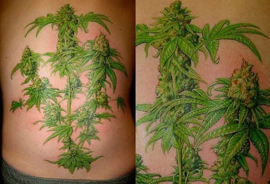 Tatuajes de marihuana: tatuajes alusivos al cannabis