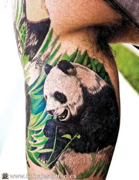 tatuajes de oso panda significado | IO | Pinterest | Tatuajes y Pandas