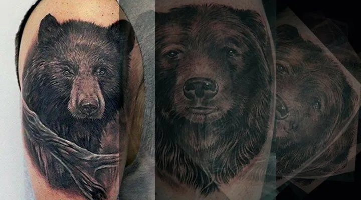 Tatuajes de Osos – Tatuajes de animales