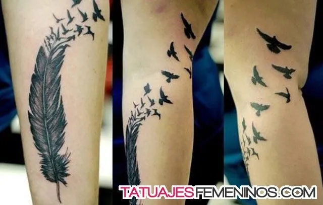 tatuajes de plumas para mujeres 5 | Tattoos | Pinterest | Tatuajes