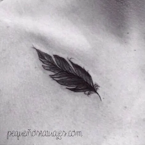 Tatuajes de Plumas on Pinterest | Feather Tattoos, Feathers and ...