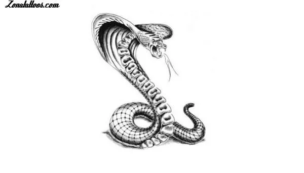 Tatuajes de serpientes - Imagui
