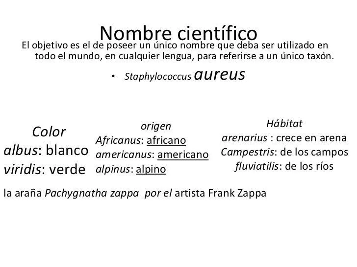 taxonoma-y-nomenclatura- ...