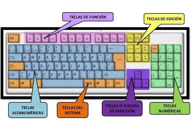 El teclado |