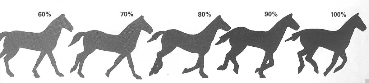Dibujo de caballos sencillos - Imagui