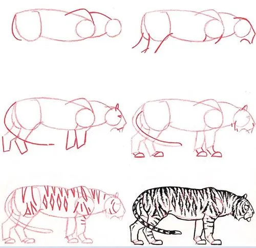 Dibujos de tigres o de perros para dibujar con lapiz faciles - Imagui