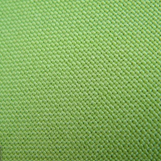 Tela verde - Gto México 2009 3559 | Flickr - Photo Sharing! Tela verde - Gto México 2009 3559 | Flickr - Photo Sharing!