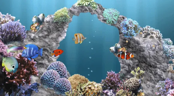 Fondos de pantalla de peces que se muevan - Imagui