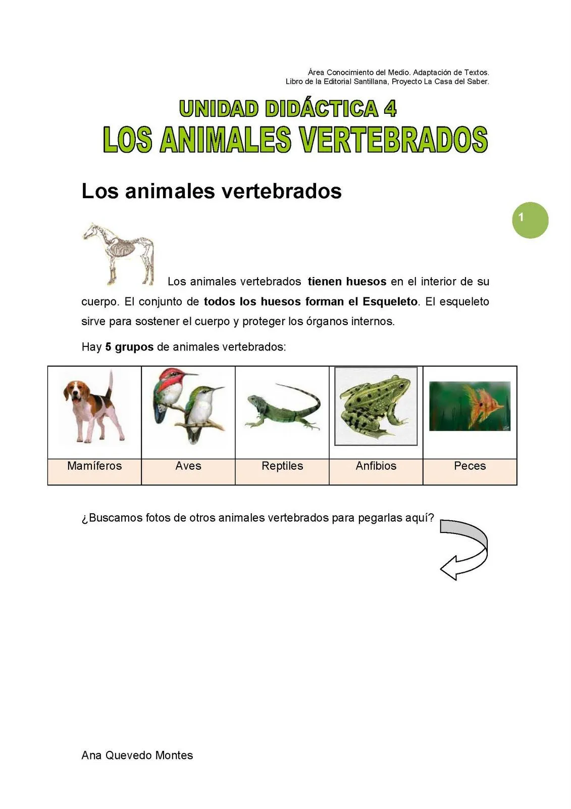 Tema 4. Los animales vertebrados de 3º de E.P. - Aula PT
