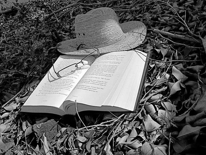 Ver Tema - En blanco y negro • ¡¡Ábrete libro!! - Foro sobre ... Ver Tema - En blanco y negro • ¡¡Ábrete libro!! - Foro sobre ...