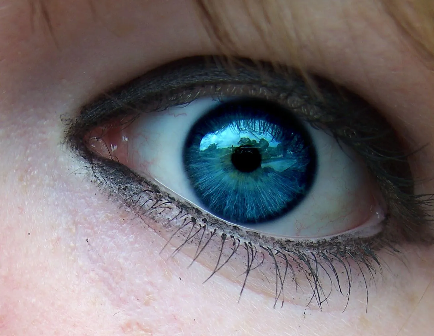 tenia los ojos tan azules que era la envidia de los mares su mirada ... tenia los ojos tan azules que era la envidia de los mares su mirada ...