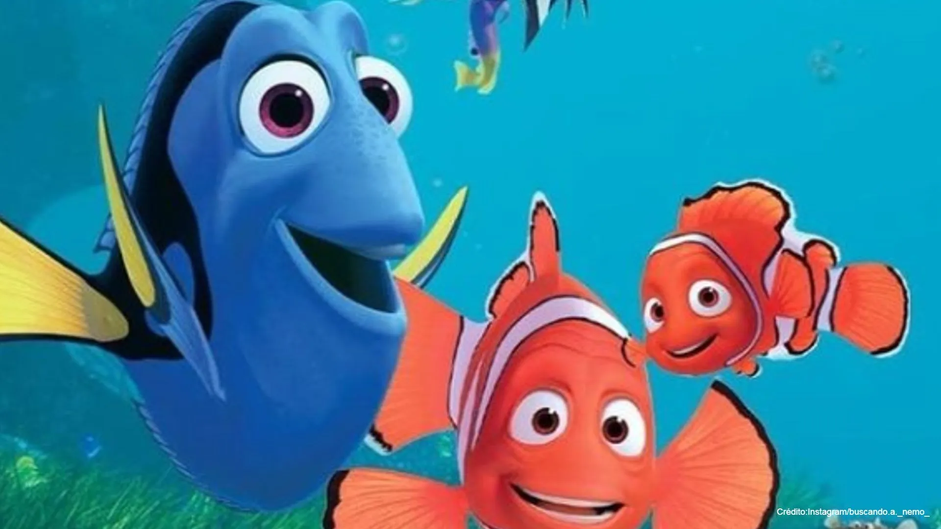 Teoría sobre Dory cambia historia de Buscando a Nemo