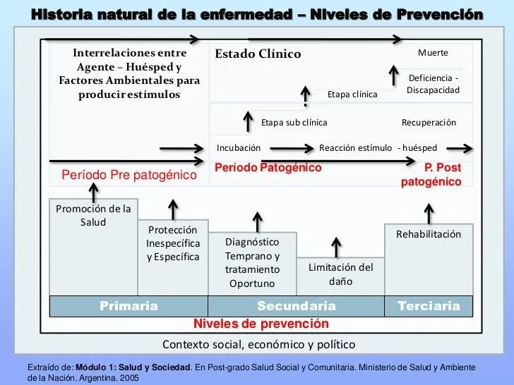 Teórico: Historia Natural de la Enfermedad y Niveles de Prevención