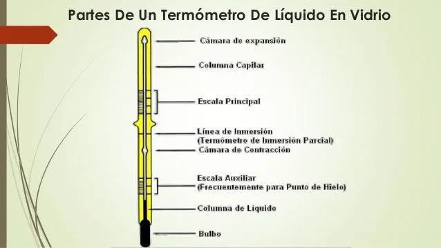 El termometro y sus partes dibujo - Imagui