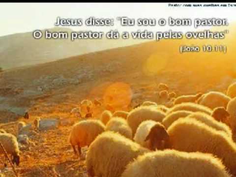 TEXTOS BIBLICOS - YouTube