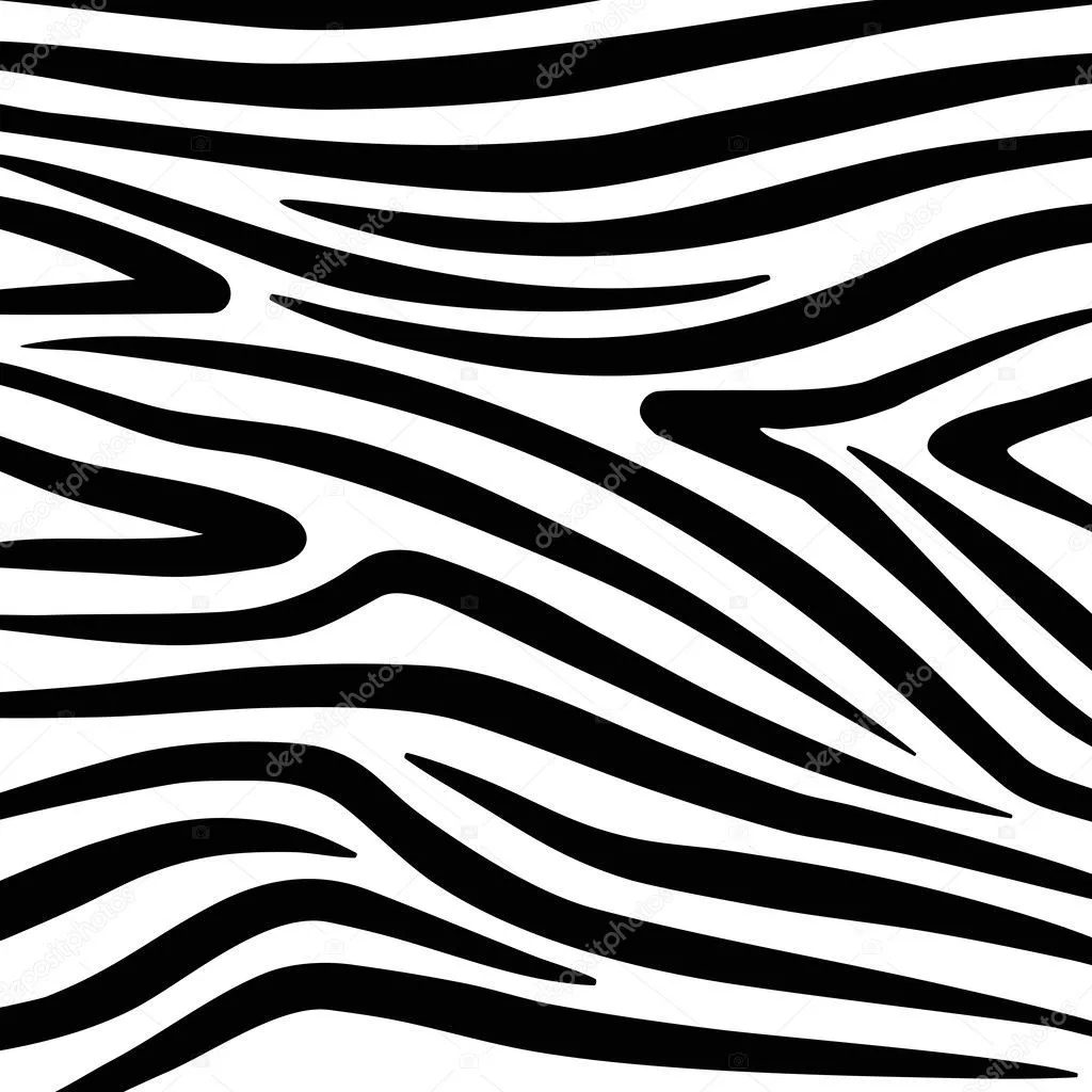 textura de cebra Vector blanco y negro — Vector stock © day908 #