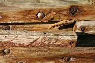 textura de madera vieja, vieja | Descargar Fotos gratis