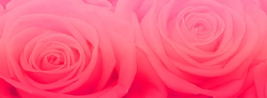 Textura de rosas by CatchingYourHeart on DeviantArt