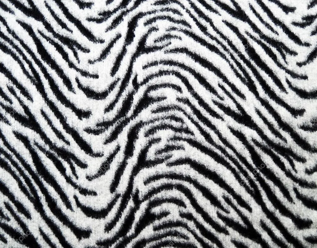 textura de la tela de cebra — Foto stock © MalyDesigner #