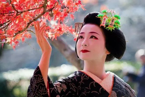 The Amazing Story of the Japanese Geisha - Yumi To Lesson.com