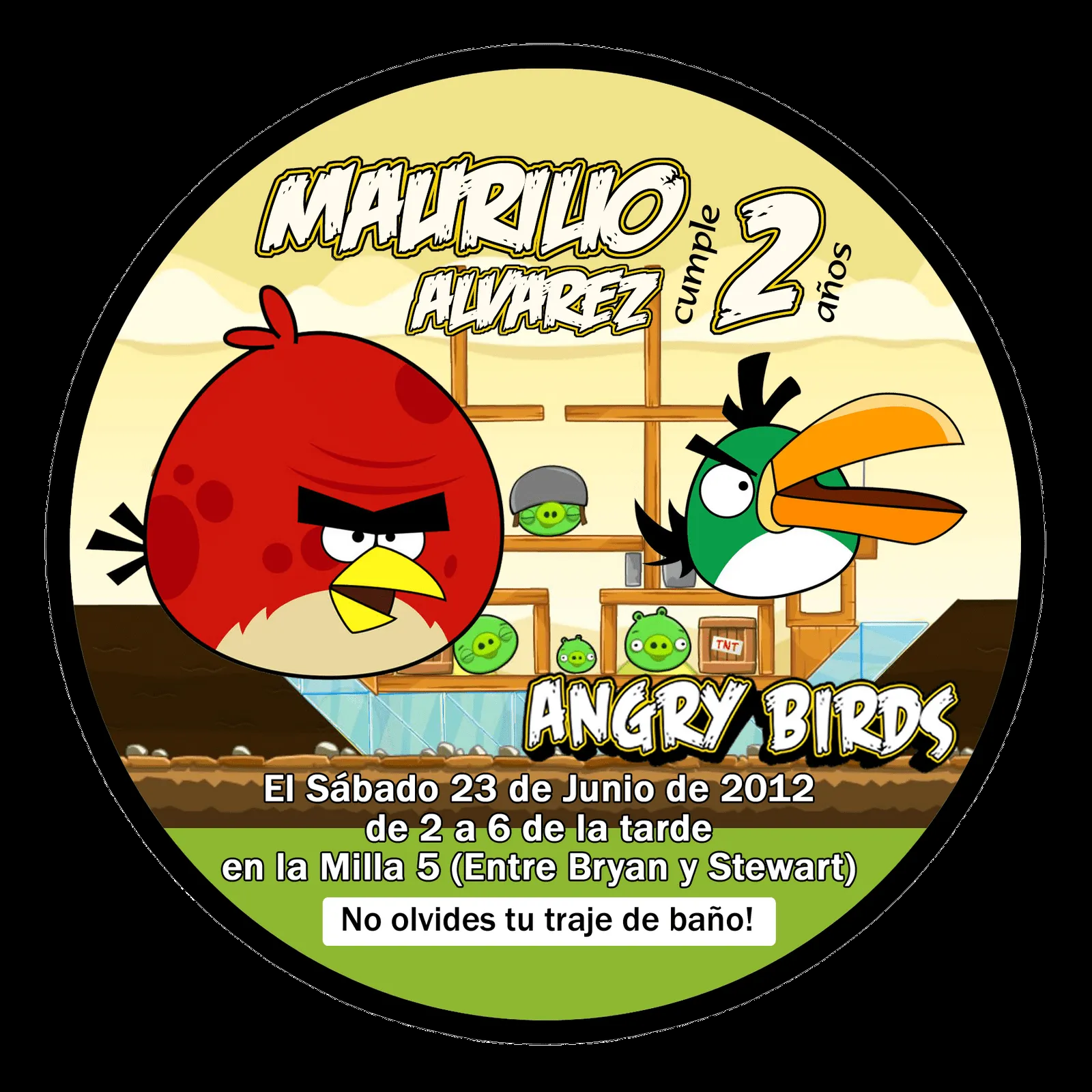 The Childrens Zone Digi Designs: Invitaciones para paletas Angry Birds