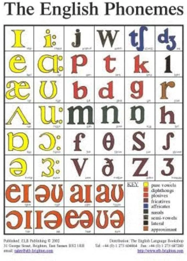 The English Phonemes in Colour : Amazon.com.mx: Libros