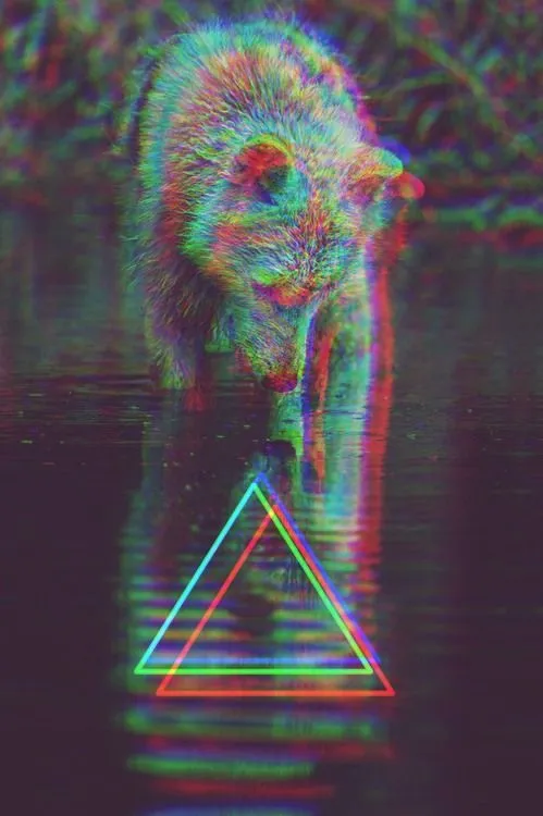 The infamous hipster animal, triangle, and filter. Click here for ...