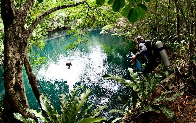 The Peculiar Underwater River: Mexico's Cenote Angelita | Science ...