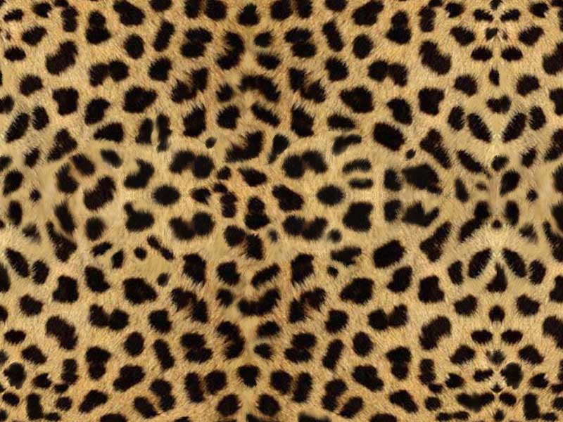 the wonderful thing about animal print is that you really