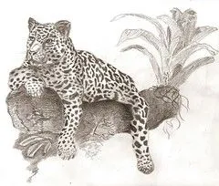 The World's Best Photos of drawing and jaguar - Flickr Hive Mind The World's Best Photos of drawing and jaguar - Flickr Hive Mind