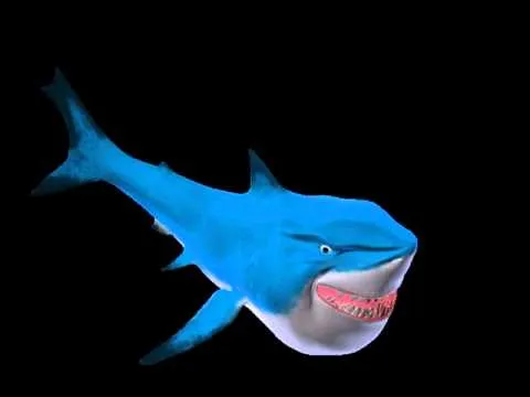 tiburon nadando test 1 - YouTube