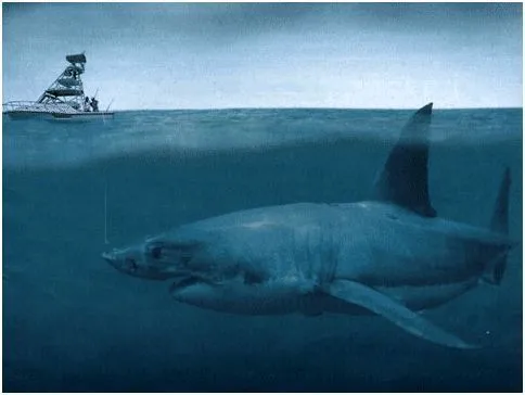Tiburones gigantes » TIBURONPEDIA