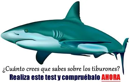 TIBURONPEDIA » Tiburones. Enciclopedia Especializada