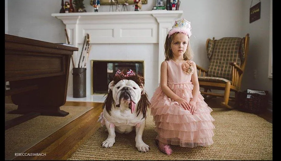 La tierna historia de una niña y su bulldog inglés.