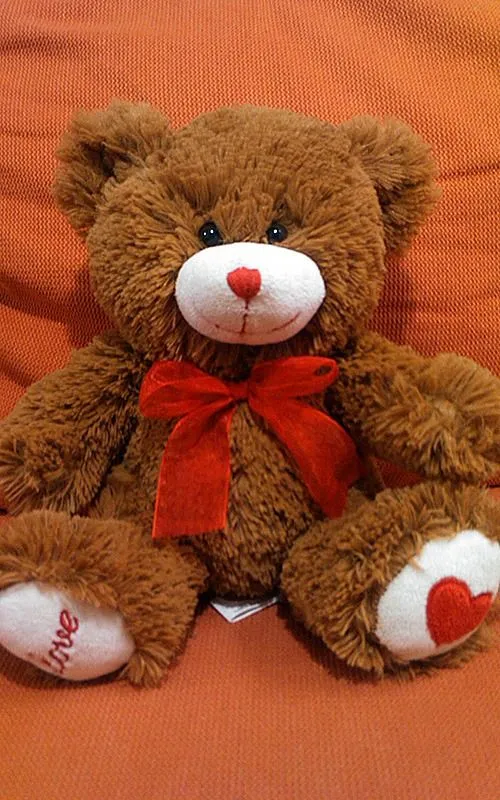 tierno-osito-de-peluche-teddy-bear-woody-toys-como-nuevo–3261 ...