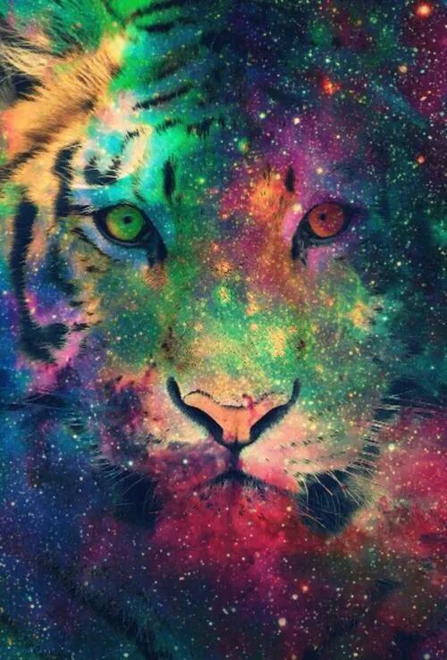 tiger galaxy wallpaper | Cheshire cat | Pinterest | Tigres ...