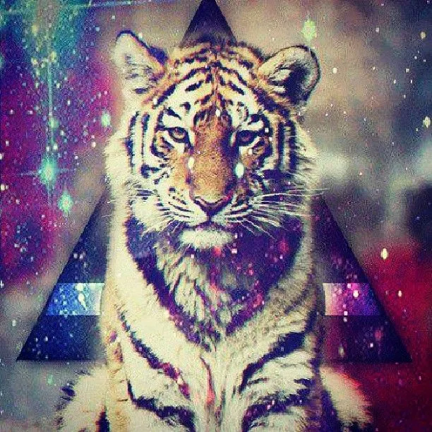Tiger #triangle #colors #hipster #wild #instagramers #Instapic ...