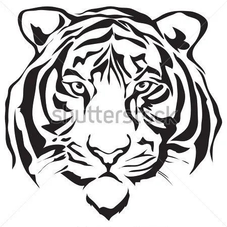 tigre de bengala blanco para dibujar - Buscar con Google | Dibujo ...