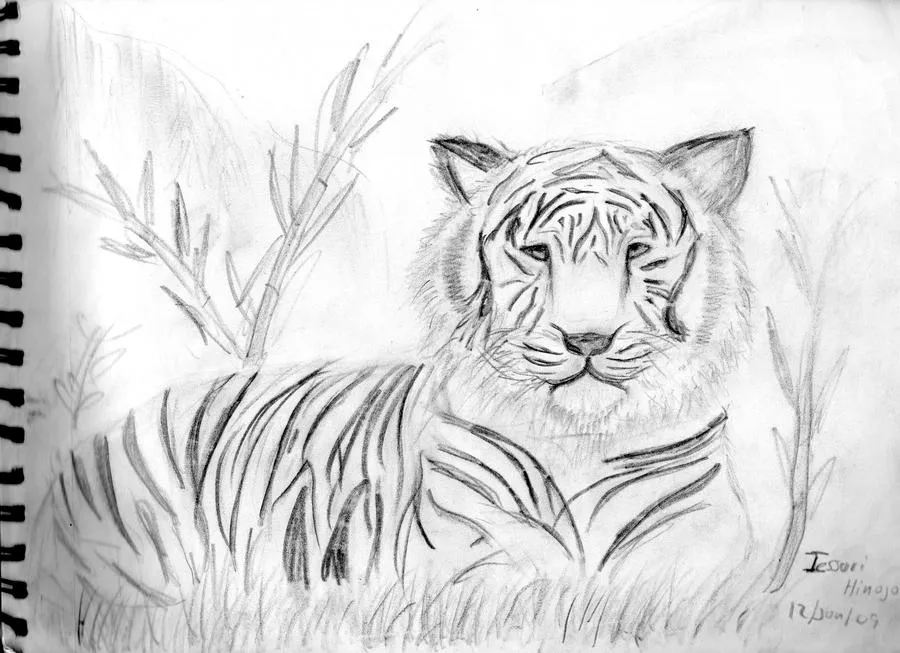 TIGRE DE BENGALA BLANCO xD by ~nana135 on deviantART