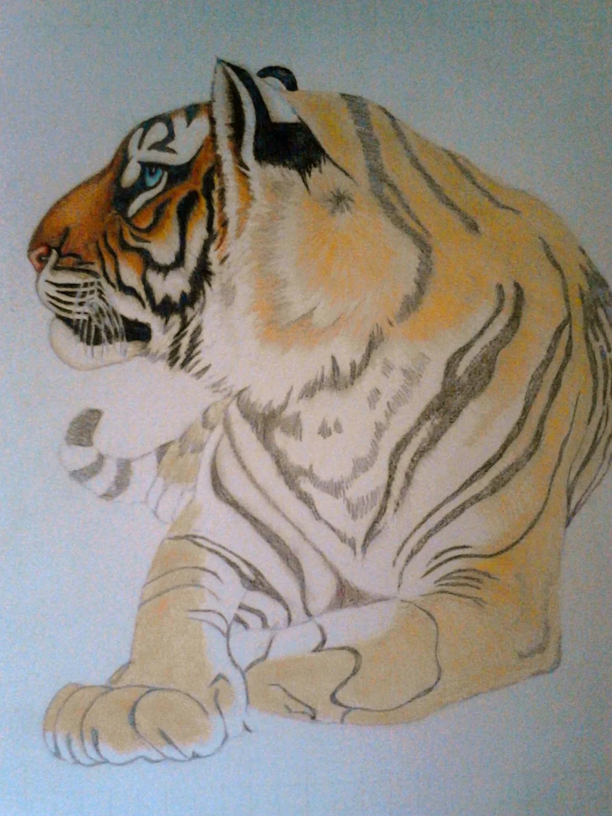 TIGRE DE BENGALA- Coloreando con Caran d´Ache | Los Dibujos de Roseta TIGRE DE BENGALA- Coloreando con Caran d´Ache | Los Dibujos de Roseta