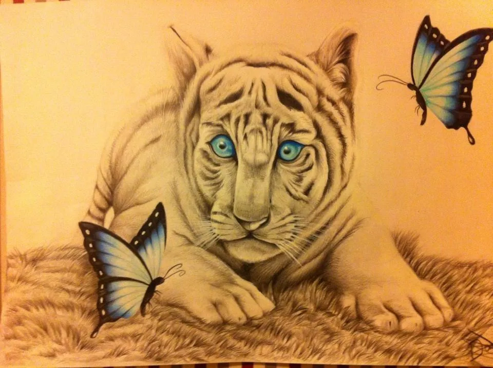 tigre de bengala destacando los ojos con las mariposas (espero ... tigre de bengala destacando los ojos con las mariposas (espero ...