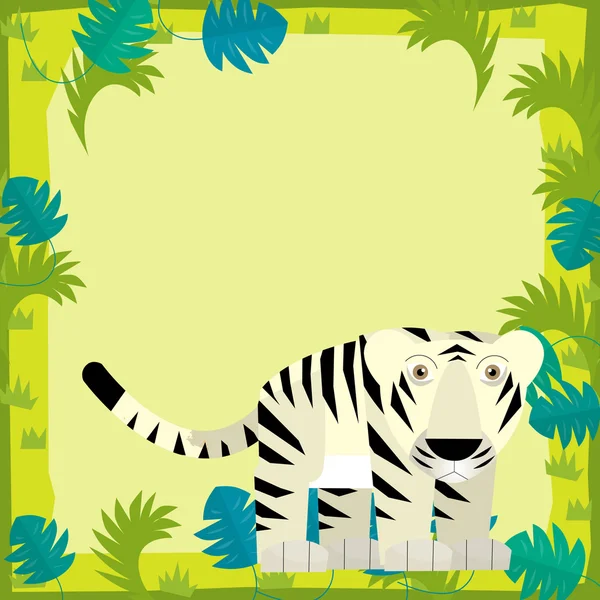 Tigre blanco en marco de dibujos animados — Foto stock ...
