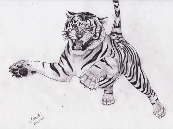 Tigre a lápiz - Animales | Dibujando.net | dibujos | Pinterest ...