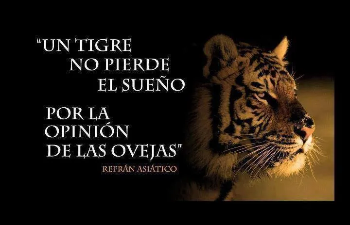 Un tigre no pierde el sueño... - TnRelaciones
