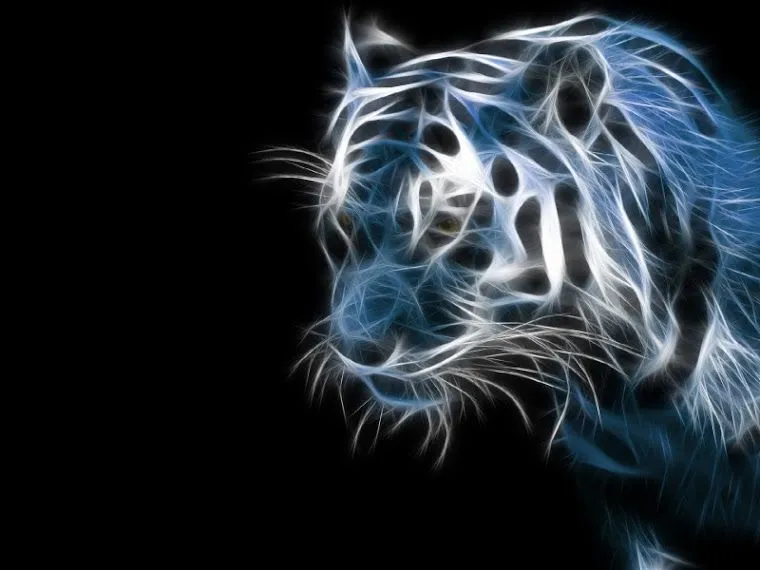 tigres y leones: tigre wallpapers