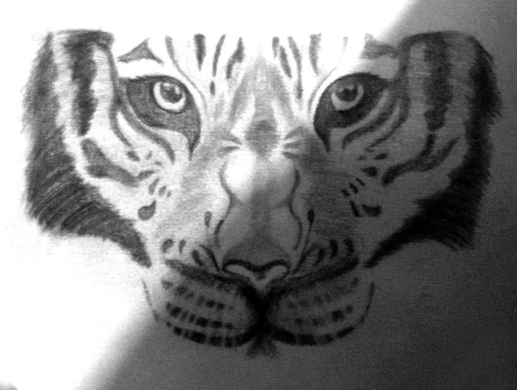 Dibujo del Rostro de un Tigre. Hecho a lápiz. | ▼DIBUJOS ...