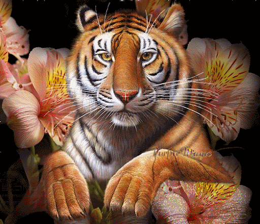 Tigres imágenes con brillos : Blog de imágenes