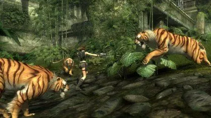 Tigres en movimiento - Imagui