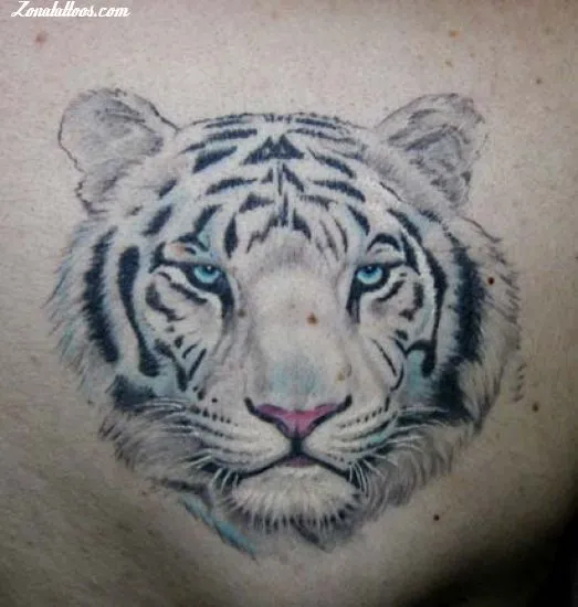 Tigres tatuajes - Imagui